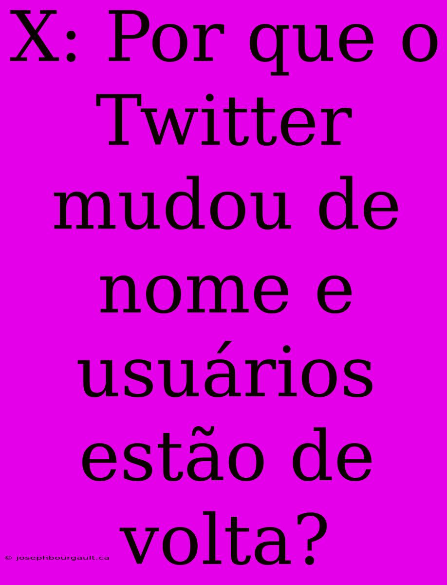 X: Por Que O Twitter Mudou De Nome E Usuários Estão De Volta?