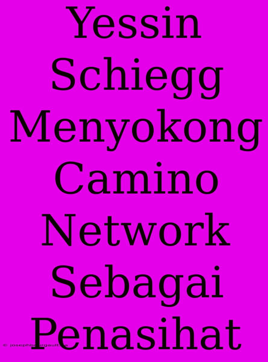 Yessin Schiegg Menyokong Camino Network Sebagai Penasihat