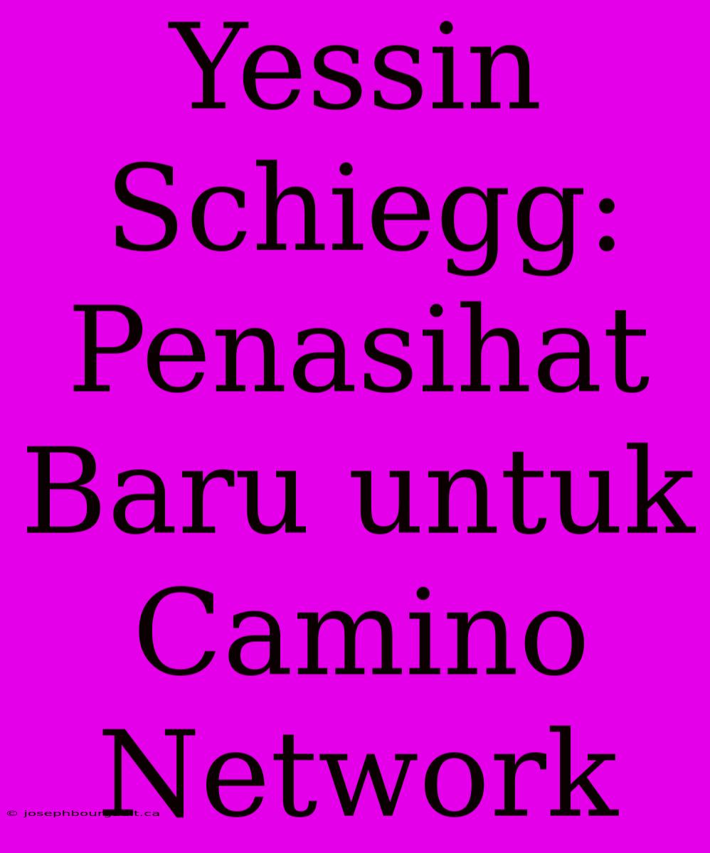 Yessin Schiegg: Penasihat Baru Untuk Camino Network