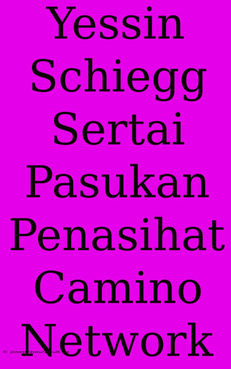 Yessin Schiegg Sertai Pasukan Penasihat Camino Network