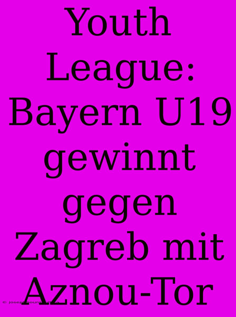 Youth League: Bayern U19 Gewinnt Gegen Zagreb Mit Aznou-Tor