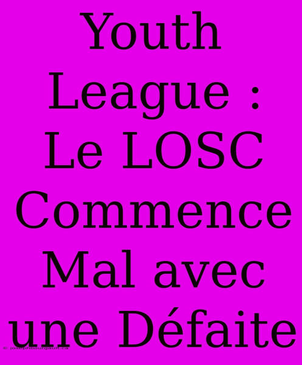 Youth League : Le LOSC Commence Mal Avec Une Défaite