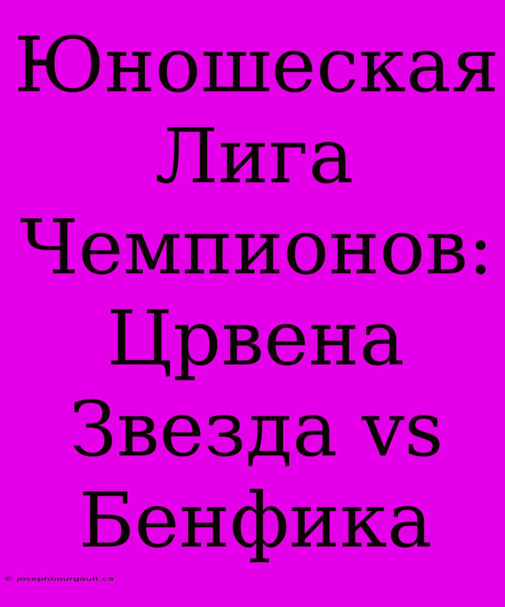 Юношеская Лига Чемпионов: Црвена Звезда Vs Бенфика