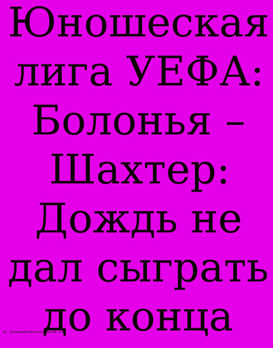 Юношеская Лига УЕФА: Болонья – Шахтер: Дождь Не Дал Сыграть До Конца