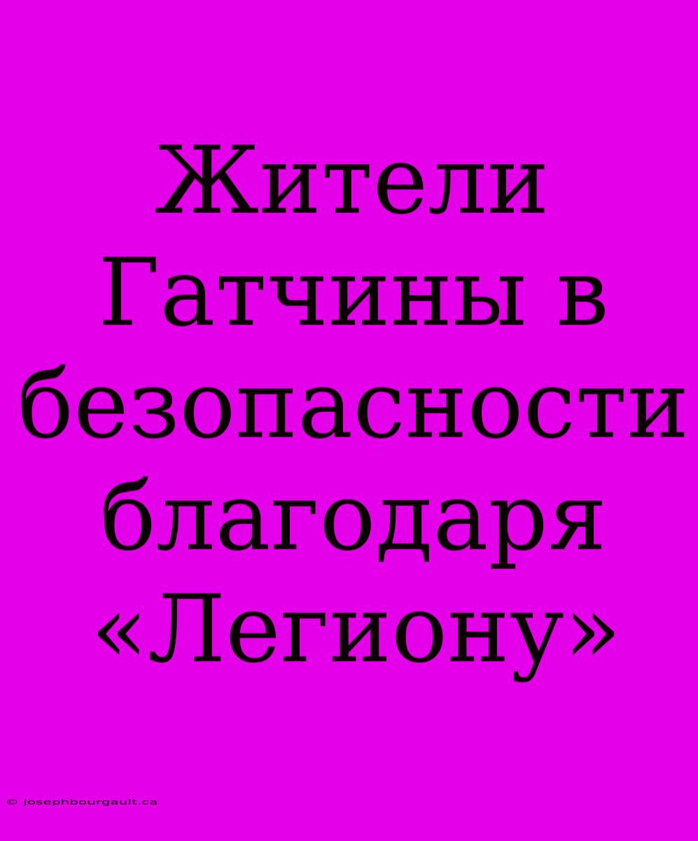 Жители Гатчины В Безопасности Благодаря «Легиону»