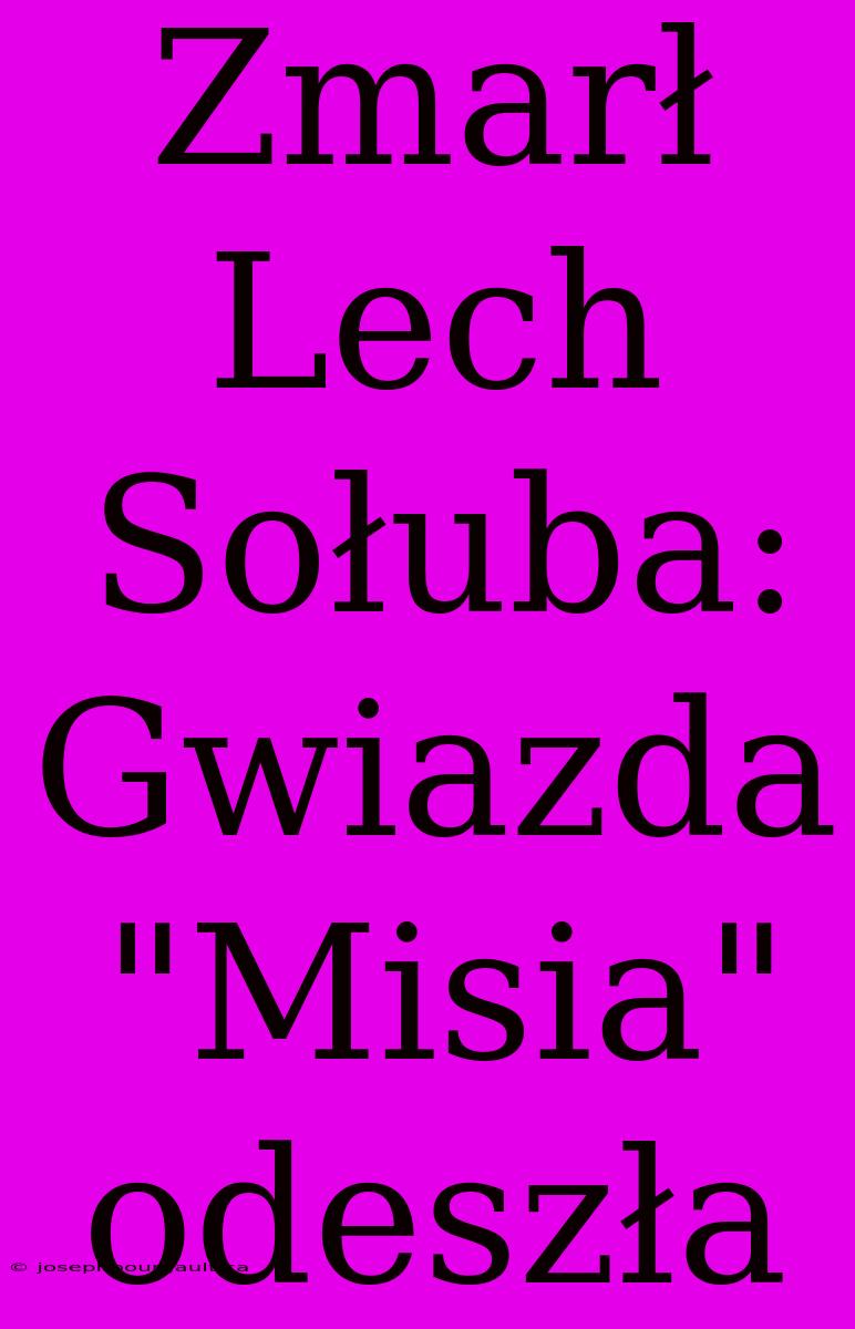 Zmarł Lech Sołuba: Gwiazda 