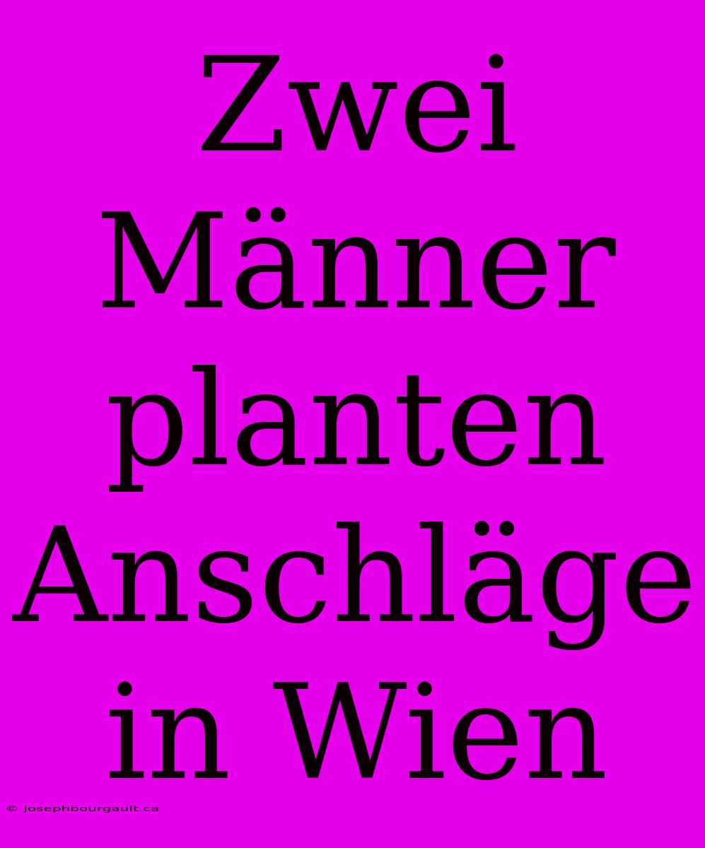 Zwei Männer Planten Anschläge In Wien